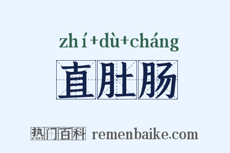 直肚肠是什么意思的图片